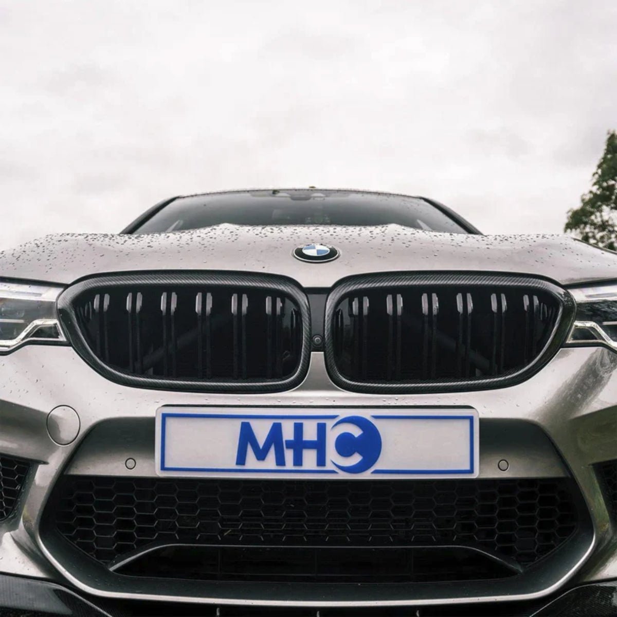 TNF+ Frontgitter Carbon passend für BMW 5er M5 (F90/G30)