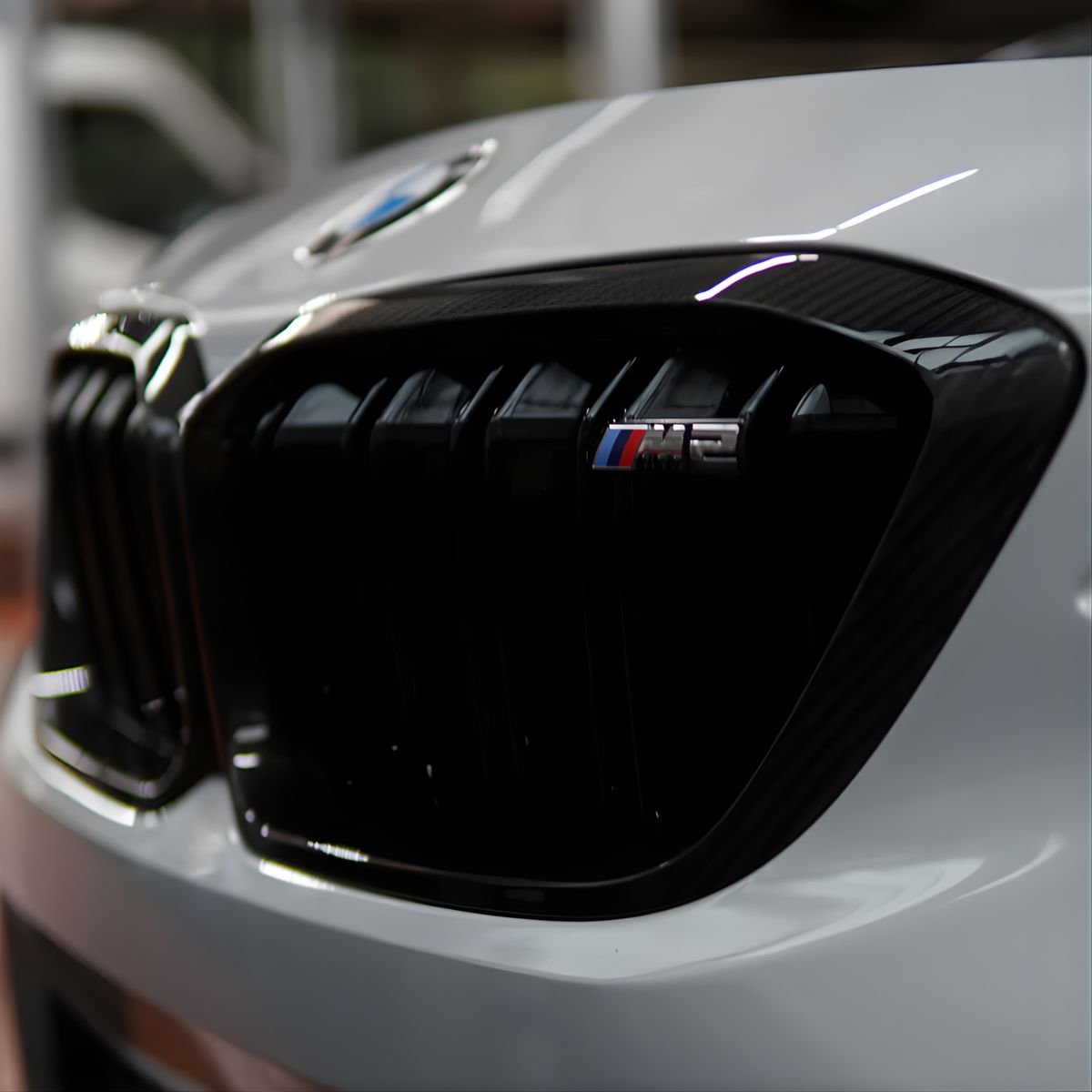 TNF+ Frontgrill Carbon inklusiv neuem Gitter passend für BMW M2 (F87 N55/F87C S55)